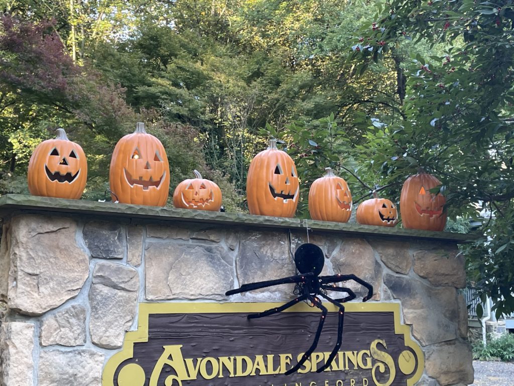 Wallingford PA Real Estate - Avondale Springs Townhouse Entrance At Halloween